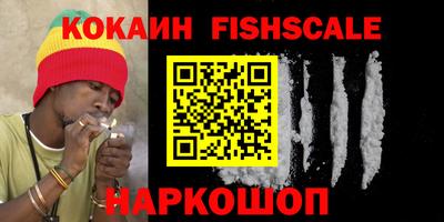 a pvp Камышлов