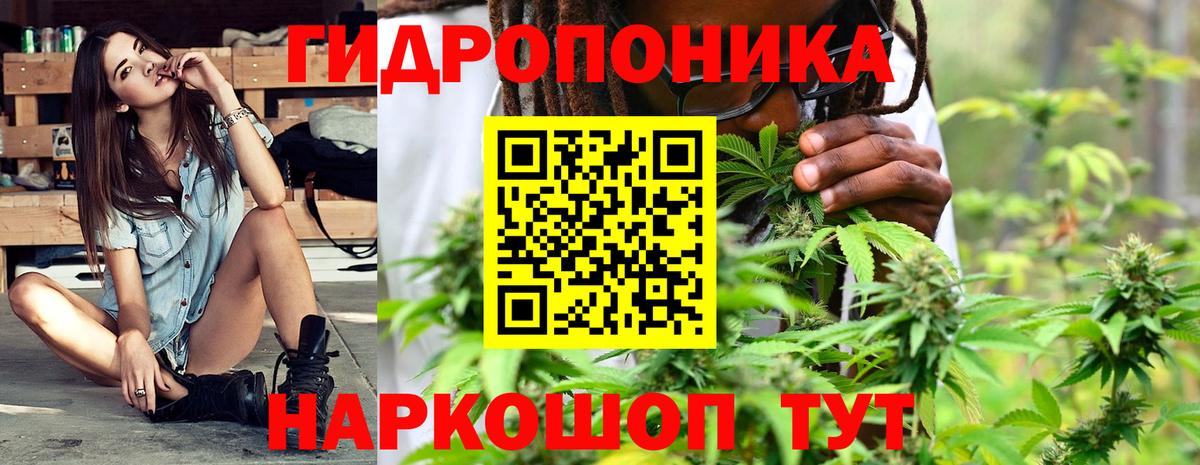 Конопля индика  Канабис конопля  Бошки марихуана сатива  Углич  Вход с VPN 